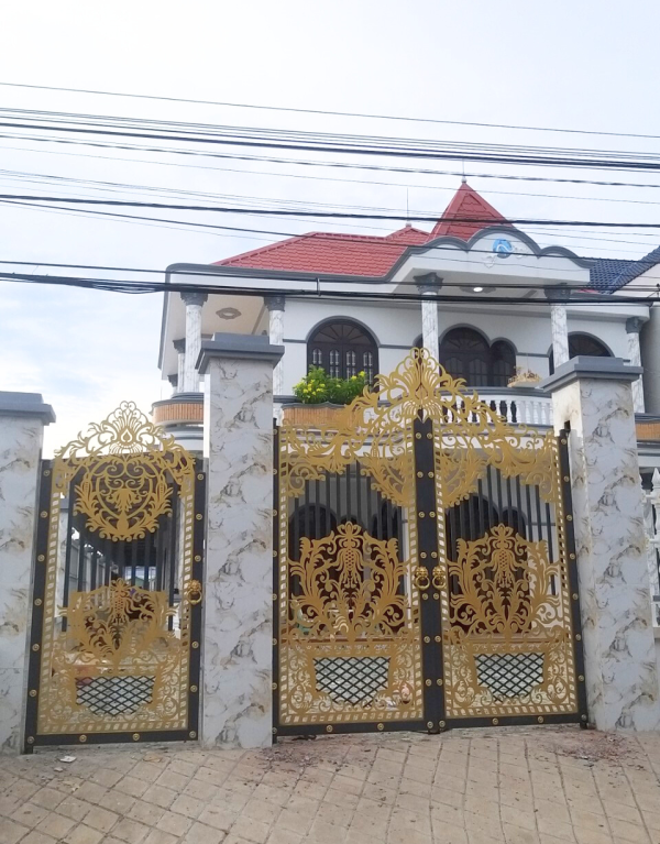 Cổng sắt mỹ thuật 06